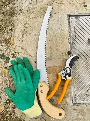 Gardening gloves, hand saw, secateurs