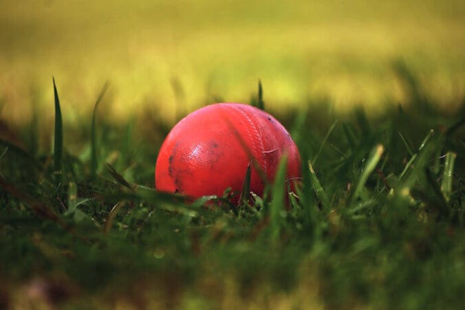 Red cricket ball in green grass