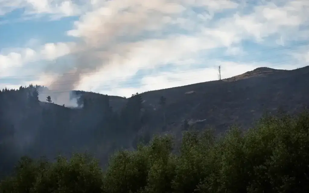 Christchurch forest fire up a hill with dark smoke