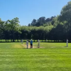 Cricketers playing on green cricket oval surrounded by trees